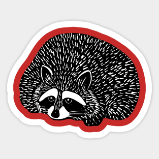 Raccoon the third Sticker